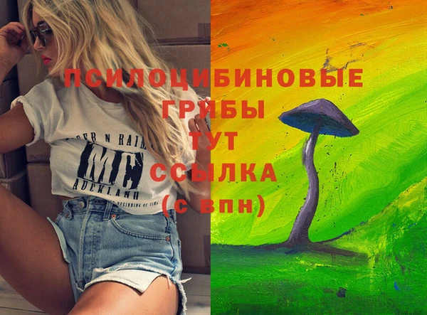 ГАЛЛЮЦИНОГЕННЫЕ ГРИБЫ Новодвинск