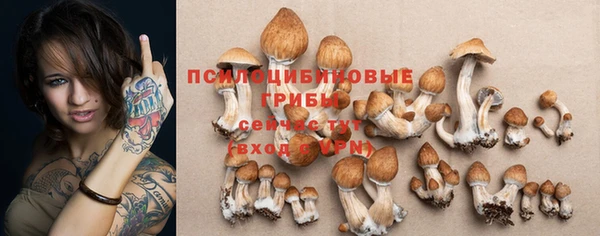 mdpv Алзамай