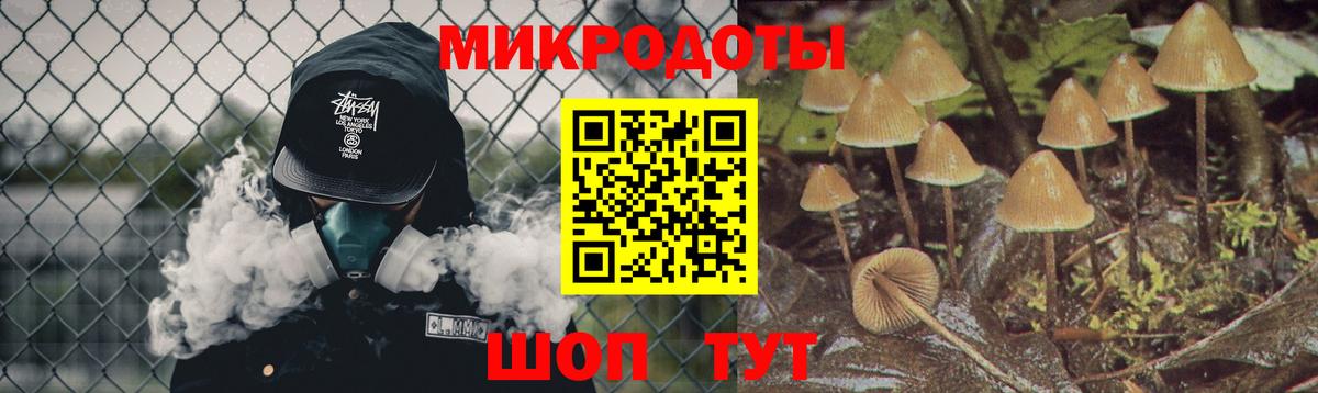 Псилоцибиновые грибы Psilocybine cubensis  Вход с VPN  Пушкино 